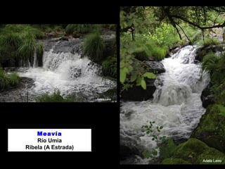 Meavía 
Río Umia 
Ribela (A Estrada) 
 
