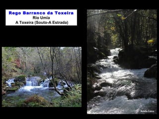 Rego Barranco da Toxeira 
Río Umia 
A Toxeira (Souto-A Estrada) 
 