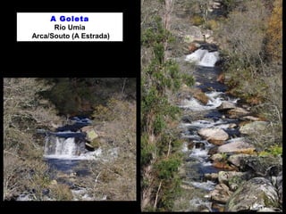 A Goleta 
Río Umia 
Arca/Souto (A Estrada) 
 