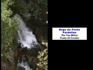 Rego de Ponte 
Pardellas 
Río Tea (Miño) 
Prado (O Covelo) 
 