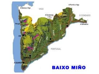 BAIXO MIÑO 
 