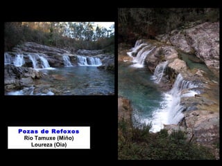 Pozas de Refoxos 
Río Tamuxe (Miño) 
Loureza (Oia) 
 