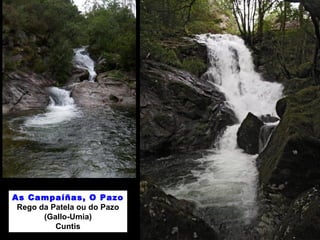 As Campaíñas, O Pazo 
Rego da Patela ou do Pazo 
(Gallo-Umia) 
Cuntis 
 