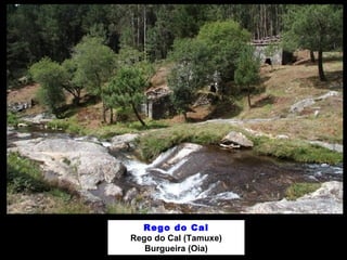 Rego do Cal 
Rego do Cal (Tamuxe) 
Burgueira (Oia) 
 