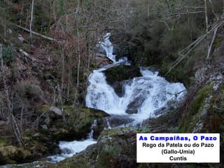 As Campaíñas, O Pazo
Rego da Patela ou do Pazo
(Gallo-Umia)
Cuntis
 
