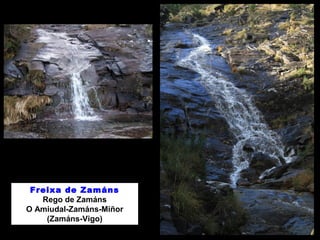 Freixa de Zamáns
Rego de Zamáns
O Amiudal-Zamáns-Miñor
(Zamáns-Vigo)
 