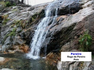 Pereiro
Rego de Pereiro
Poio
 