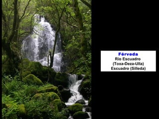 Férveda
Río Escuadro
(Toxa-Deza-Ulla)
Escuadro (Silleda)
 
