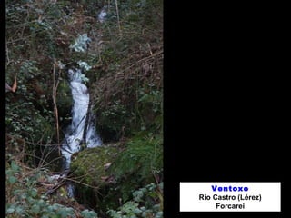 Ventoxo
Río Castro (Lérez)
Forcarei
 
