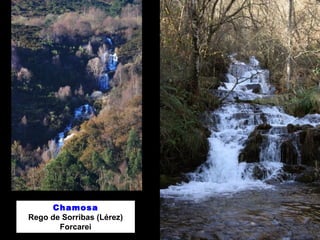 Chamosa
Rego de Sorribas (Lérez)
Forcarei
 