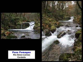 Pozo Fumegas
Río Seixo (Lérez)
Cerdedo
 