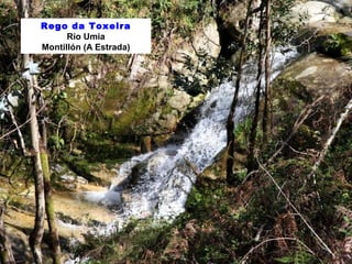 Rego da Toxeira
Río Umia
Montillón (A Estrada)
 