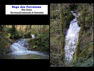 Rego das Fervenzas
Río Umia
Quintas(Codeseda-A Estrada)
 
