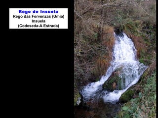 Rego de Insuela
Rego das Fervenzas (Umia)
Insuela
(Codeseda-A Estrada)
 