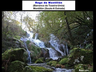 Rego de Montillón
(Barranco da Toxeira-Umia)
Montillón (Souto-A Estrada)
 