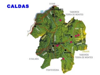 CALDAS
 