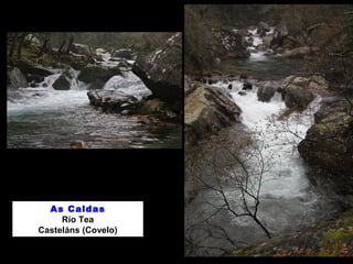 As Caldas
Río Tea
Casteláns (Covelo)
 