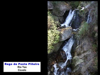 Rego de Ponte Piñeiro
Río Tea
Covelo
 