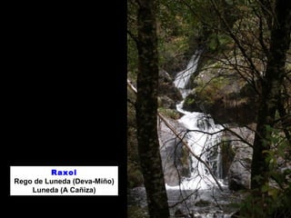 Raxoi
Rego de Luneda (Deva-Miño)
Luneda (A Cañiza)
 