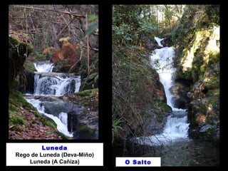 Luneda
Rego de Luneda (Deva-Miño)
Luneda (A Cañiza) O Salto
 