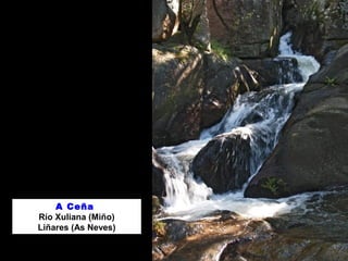 A Ceña
Río Xuliana (Miño)
Liñares (As Neves)
 