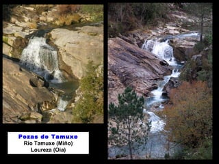 Pozas do Tamuxe
Río Tamuxe (Miño)
Loureza (Oia)
 