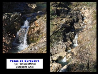Pozas de Burgueira
Río Tamuxe (Miño)
Burgueira (Oia)
 