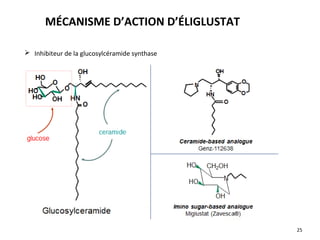 25
MÉCANISME D’ACTION D’ÉLIGLUSTAT
 Inhibiteur de la glucosylcéramide synthase
 
