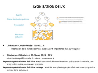 LYONISATION DE L’X
Zygote
Stade de division précoce
Lyonisation
Mosaïque
cellulaire
• Distribution ICX randomisée : 50:50 : 71 %
– Progression de la maladie corrélée avec l’âge  importance d’un suivi régulier
• Distribution ICX biaisée : > 75:25 ou > 80:20 : 29 %
= Inactivation préférentielle du même chromosome X
Expression prédominante de l’allèle muté : associée à des manifestations précoces de la maladie, une
progression rapide, un mauvais pronostic
Expression prédominante de l’allèle sauvage : associée à un phénotype peu sévère et à une progression
minime de la pathologie
 