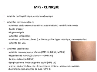 MPS - CLINIQUE
• Atteinte multisystémique, évolution chronique
• Atteintes communes (+/-) :
-Atteintes ostéo-articulaires (dysostoses multiples) non inflammatoires
-Faciès grossier
-Organomégalie
-Atteintes sensorielles
-Atteintes cardio-vasculaires (cardiomyopathie hypertrophique, valvulopathies)
-Atteinte des VAS
• Atteintes spécifiques :
-Atteinte neurologique profonde (MPS IH, MPS II, MPS III)
-Hyperlaxicité (MPS IV)/ raideur +++ (MPS VI)
-Lésions cutanées (MPS II)
-Lymphoedème, lymphangiome, ascite (MPS VII)
-masses péri-articulaires des tissus mous + œdème, absence de scoliose,
d’organomégalie, absence de GAG (MPS IX)
 