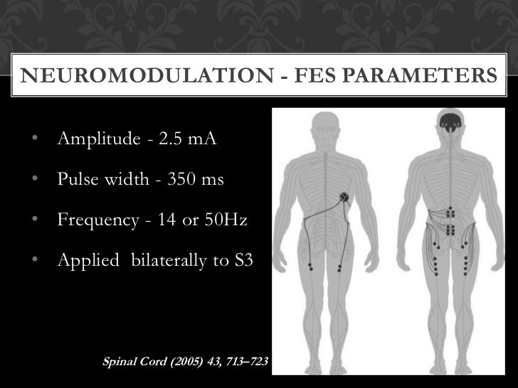 Functional Electrical Stimulation in Spinal Cord Injury rehabilitation