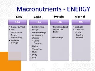 Macronutrients - ENERGY
      FATS            Carbs              Protein            Alcohol
      36kJ               16kJ                16kJ               29kJ
• Slower burning   • Cell structure    • Muscle and and   • Toxic, so:
• Cell             • Energy              connective       • Metabolic
  membranes        • Limited storage     tissue             priority
• Neural           • Broken into                            • Front of
  conductivity       glucose           • No storage           queue!!
• Unlimited          • Some
  storage              fructose
                   • Grains
                   • Vegetables
                   • Fruit
                   • Dairy
                   • nuts
 