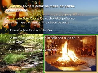 O orballo : bo para previr os males do gando, contra a sarna. A auga de San Xoán .-  Co cacho feito, póñense as herbas nun caldeiro ou tina cheos de auga. Ponse a tina toda a noite fóra. Á mañá seguinte, lavámo-la cara coa auga de San Xoán. Arma para loitar contra as meigas. 