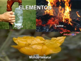ELEMENTOS ELEMENTOS Auga Lume Mundo vexetal 