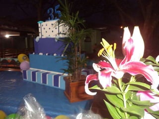 Festa 35 anos escola