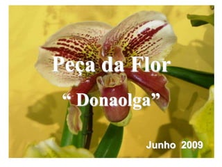 Peça da Flor “ Donaolga” Junho  2009 
