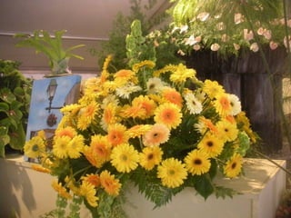 Festa da flor   2012