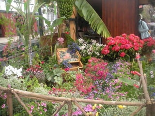 Festa da flor   2012