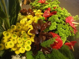 Festa da flor   2012
