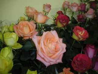 Festa da flor   2012