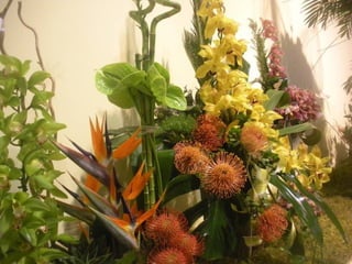 Festa da flor   2012