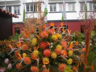 Festa da flor   2012