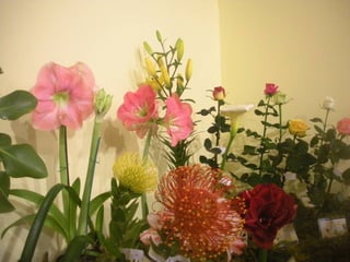Festa da flor   2012