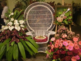 Festa da flor   2012