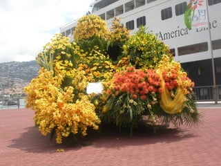 Festa da flor   2012