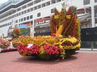 Festa da flor   2012