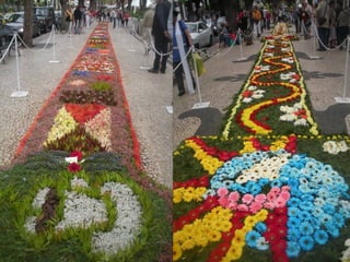 Festa da flor   2012