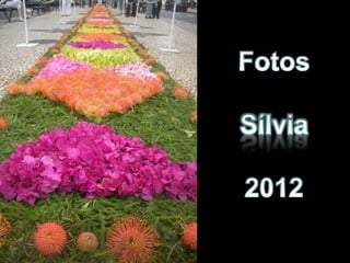 Festa da flor   2012