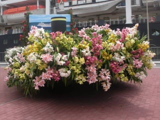 Festa da flor   2012