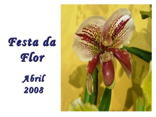 Festa da Flor Abril 2008 